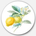 thumbnail image 1 of Designart 'Floursack Lemon II' Art Mural Cercle en Métal Style Ferme - Disque de 36, 1 of 5
