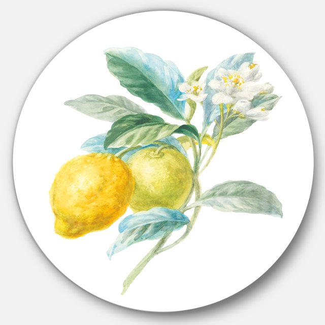 Designart 'Floursack Lemon II' Art Mural Cercle en Métal Style Ferme - Disque de 36