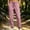 #0433-Pink, variant on Womens Jogger Pants Drawstring Elastic Waist with Pockets Tapered Sweatpants Bottoms for Running Hiking Gym