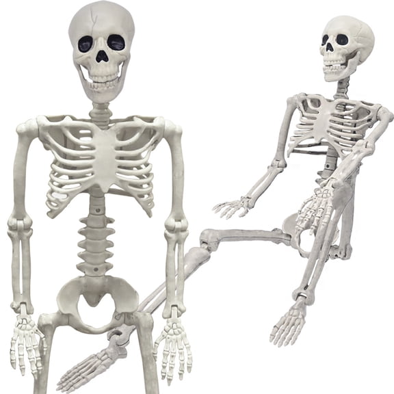 36" Skeleton Halloween Decorations, 3FT Realistic Full Body Movable Posable Joints Skeleton, Creepy Halloween Plastic Skeleton for Graveyard Decorations