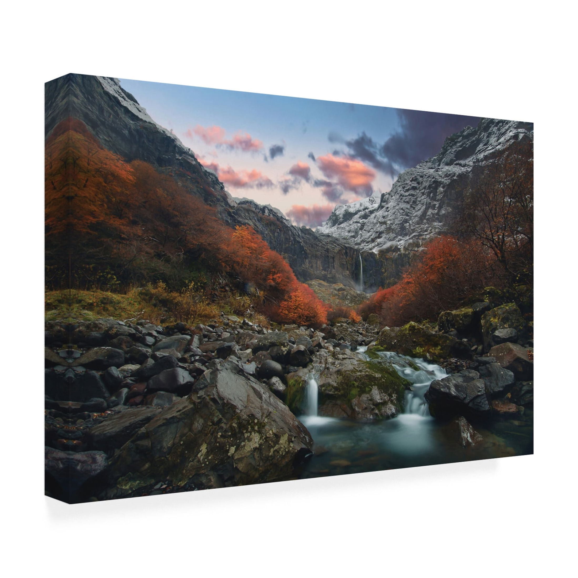 Canvas Wall Art - RODRIGO GERHARDT BARBOSA ' Throat Of The Earth' Wall Art for Living Room, Bedroom, or Office Décor by Trademark Fine Art - 32 x 22 Inches