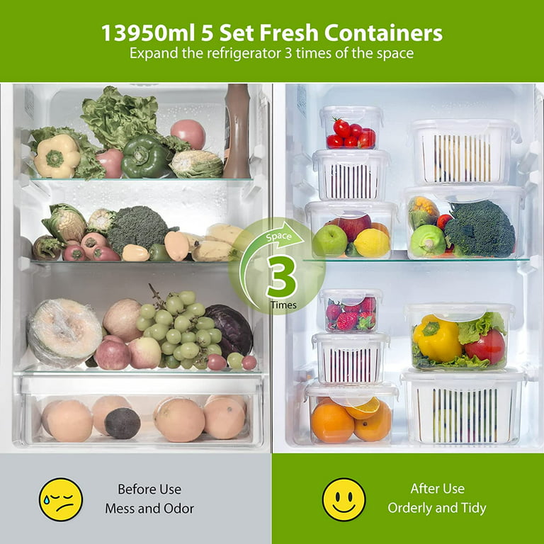 Fruit Storage Containers for Fridge - 10-Piece Kitchen Organizers Leak  Proof Produce Saver and Veggie Storage Bins Set for Refrigerator, Plastic
