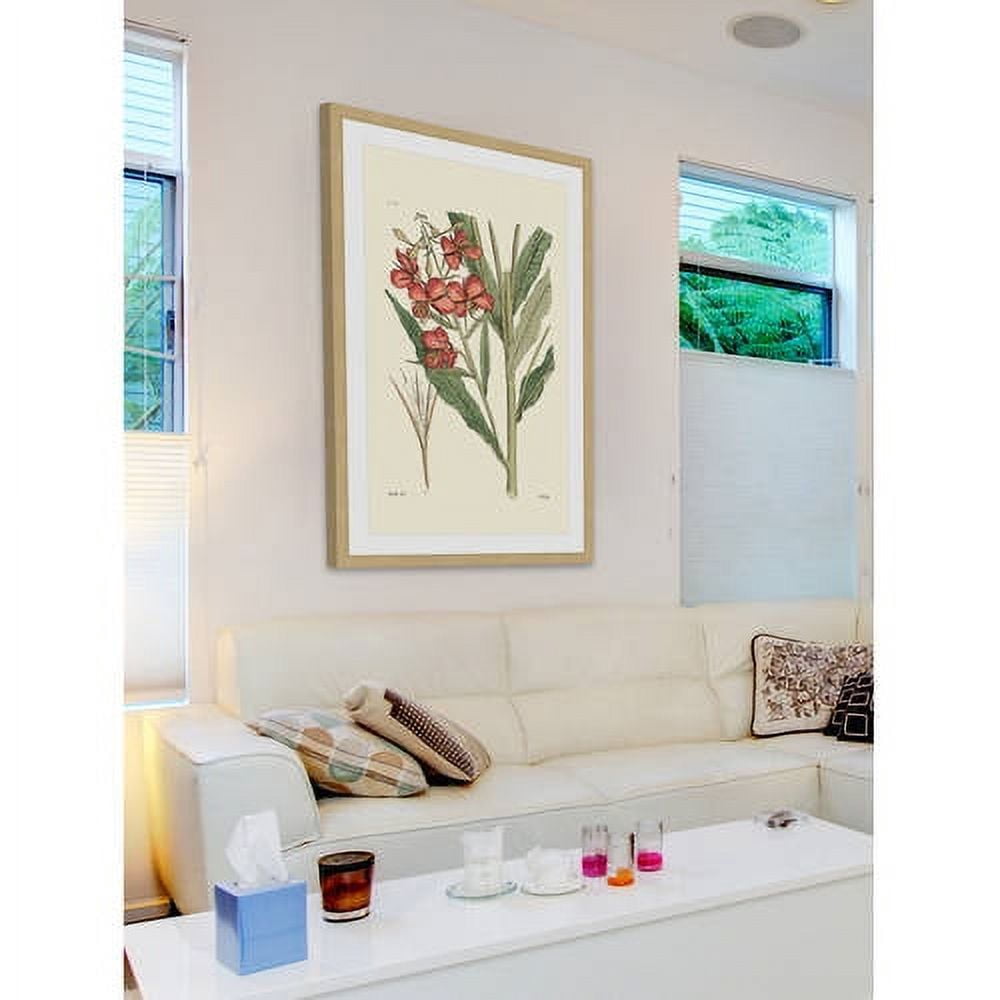 "Antique Floral III" Framed Painting Print