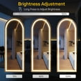 thumbnail image 2 of Full Length Mirror with LED Lights Arch 63"*20" Full Body Floor Mirror with Stand Wall Mounted, 2 of 7