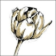 thumbnail image 2 of Harper, Ethan 26x26 Black Ornate Wood Framed with Double Matting Museum Art Print Titled - Tulip Sketch II, 2 of 4