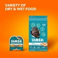 Iams Proactive Health Indoor Adult Dry Cat Food With Chicken & Turkey ...