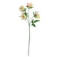Select Artificials 27" Jaune et Rose Artificiel Mini Dahlia Inspiré Spray Floral – image 1 sur 2