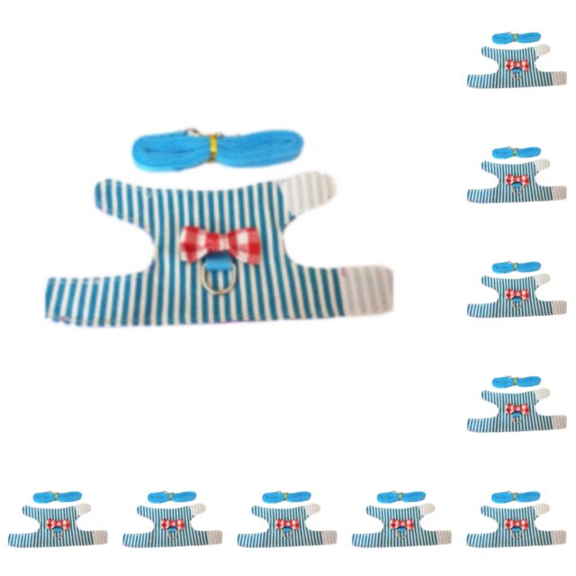 Greeniant y juguetón arnés para hámster para mascotas adorables: cómodo y seguro, fácil de cuidar, arnés con correa, arnés de conejo, tiras azules S, 1 10Conjunto