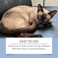 thumbnail image 4 of Eeljoy Cat Anti-Scratching Spray For Cats 120Ml - Gentle & Safe Formula For Cat-Friendly, Cat Behavior Guidance, Training & Correction, Furniture Scratch Protection - For Cat, 4 of 7