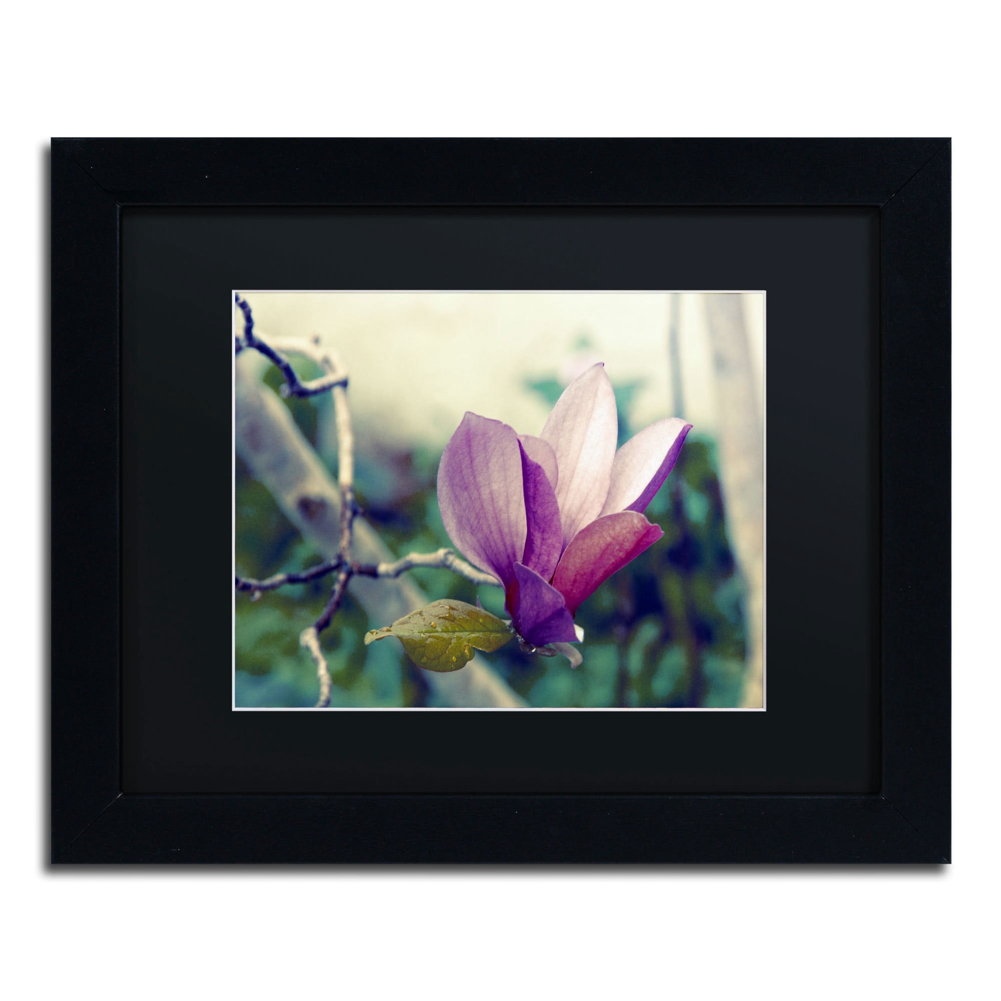 Trademark Fine Art "Pink Magnolia" Canvas Art by Patty Tuggle, Black Matte, Black Frame
