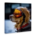 thumbnail image 2 of Stupell Industries Eclectic Ski Goggles Dog Canvas Art, 17 x 17, by Sean Parnell, 2 of 8