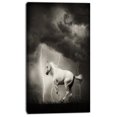 thumbnail image 2 of Cheval Blanc sous le Ciel Tonnerre - Impression sur Toile Animal, 2 of 3
