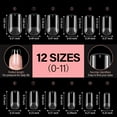 thumbnail image 5 of Short Square Nail sets Soft Gel Full Cover Clear Gelly Nail Tips Half Matte Acrylic Nail Tips Pre-Filed Fake Press on Nail Tips for Extension Home DIY Salon Manicure 216PCS 12 Sizes, 5 of 5