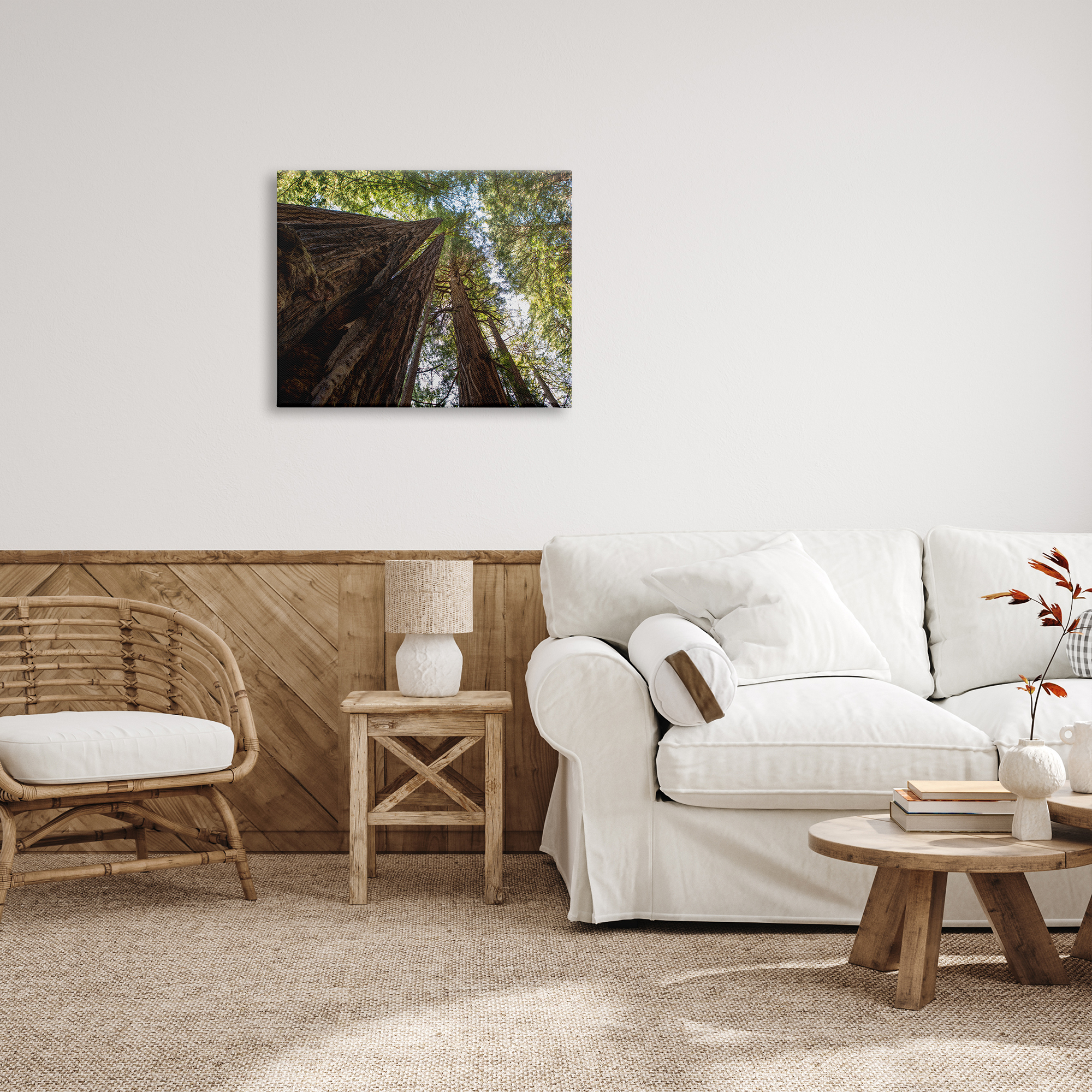 Stupell Indtries Tall Trees Looking Upwards Nature Forest Photography,30 x 24,Design by Aaron Matheson