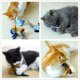 thumbnail image 3 of Methold Juguete realista para gatos y pájaros con sonda integrada para estimular los instintos, juguete interactivo para gatos Juguetes para gatos D, 3 of 6