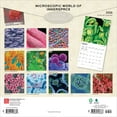 thumbnail image 2 of Microscopic World of Innerspace | 2026 12x24" (Hanging) Wall Calendar | BrownTrout, 2 of 9