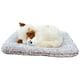 thumbnail image 2 of Adorno de coche para gatos con sonido de miau: desodorizante de carbón activado para vehículos, escritorios y decoración del hogar, 2 of 6