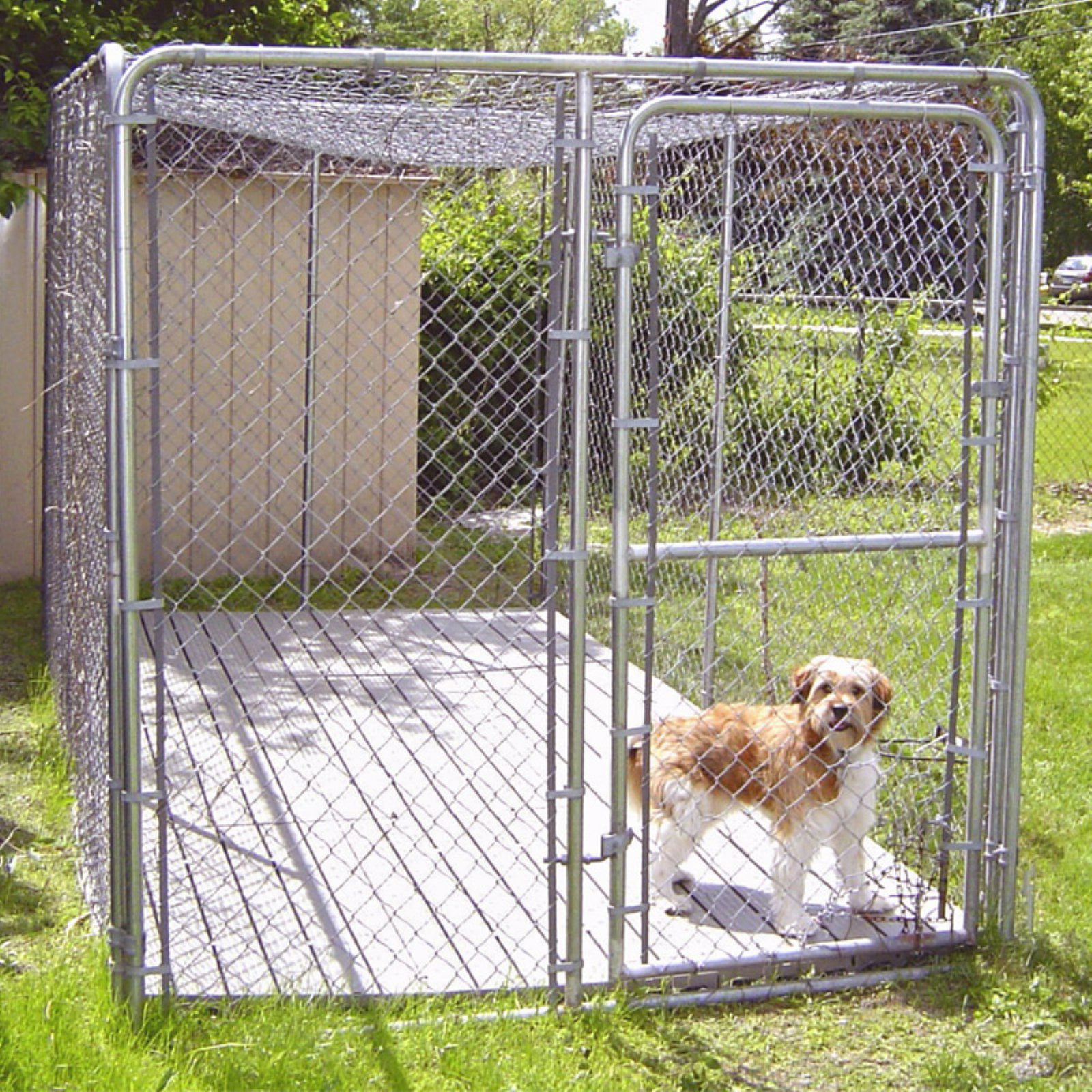 What Flooring Options Work Best For 10x10 Dog Kennels?