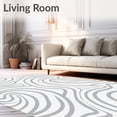 thumbnail image 2 of ODIKA 4'x6' Machine Washable Non-Slip Area Rug, Curly Fleece Wave Ripple Decorative Floor High Traffic Rug, Gray, 615771, 2 of 7