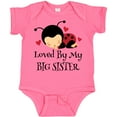 thumbnail image 3 of Inktastic Little Sister Ladybug Girls Baby Bodysuit, 3 of 5