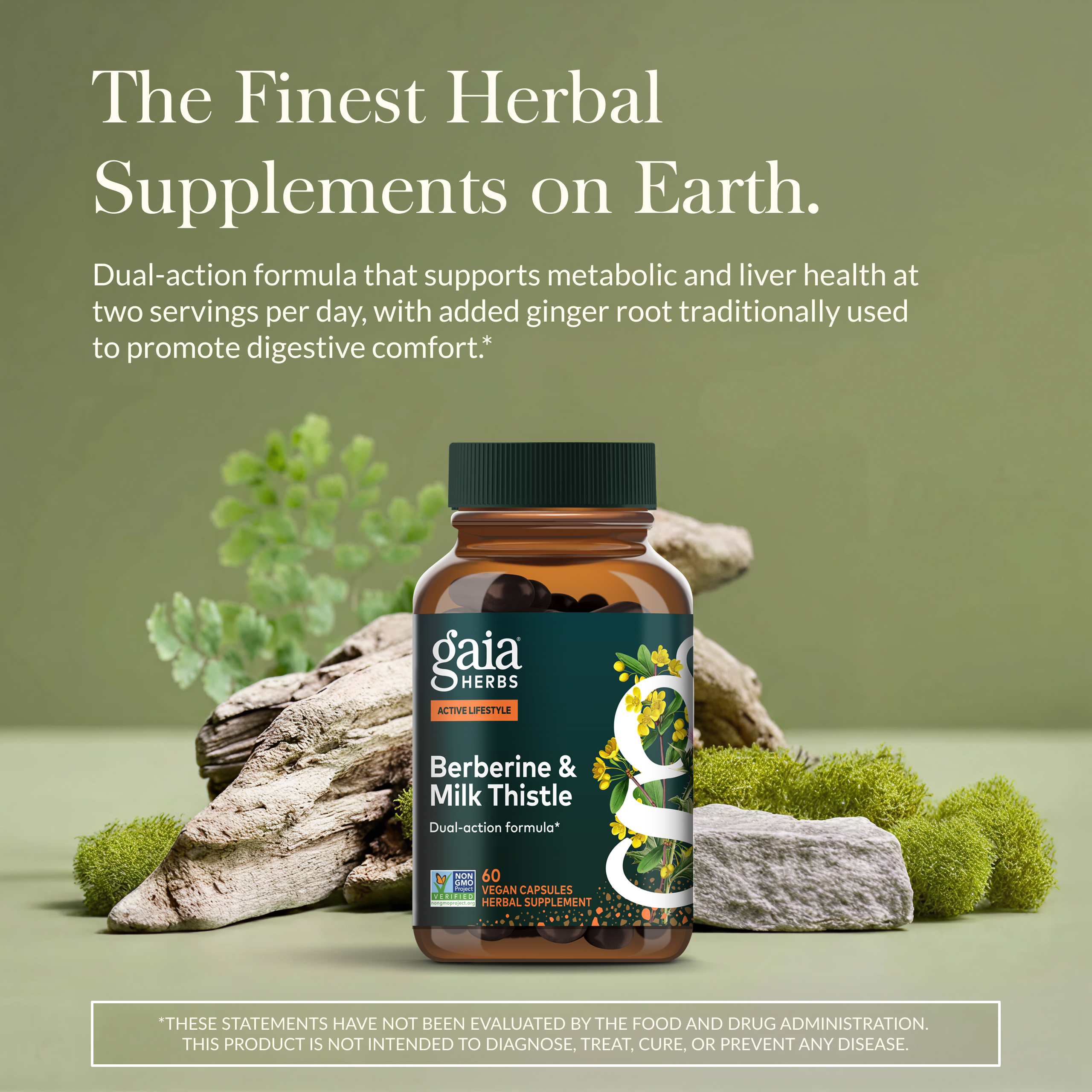 Gaia Herbs Berberine & Milk Thistle - Milk Thistle & Berberine Supplement with Ginger Root - Supports Liver Health* - Vegan, Gluten-Free, Dairy-Free, Non-GMO Project Verified - 60 Capsules