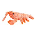 thumbnail image 1 of USB Charging Electric Charging Simulation Dancing Moving Floppy Lobster Cats Toy Tooth Cleaner Plush Cat Toy, 1 of 12