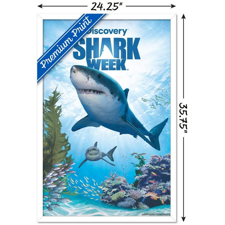 Shark Week - Shark Adventure Wall Poster, 22.375