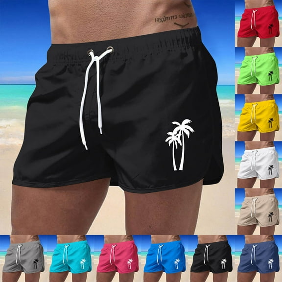 Men's Stylish Summer Shorts Trendy Casual Classic Fit Elastic Waistband Summer Twill Chino Golf_Dress Short Wear Hiking with Multi Pockets (Black_01 , L)