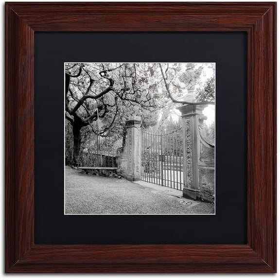 Trademark Fine Art "Firenze I" Canvas Art by Alan Blaustein, Black Matte, Wood Frame