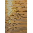 thumbnail image 2 of Paulson, Don 17x24 White Modern Wood Framed Museum Art Print Titled - Washington Sunset on water and grasses, 2 of 4