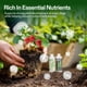 thumbnail image 2 of Kit de Nutrientes Líquidos VIVOSUN Base A & B 240 mL para Plantas, 2 of 8