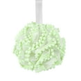thumbnail image 1 of Esponja de baño de malla extra grande con perlas, suave, para hombres y mujeres. Exfolia y limpia suavemente con estos accesorios de baño de belleza, 1 of 2