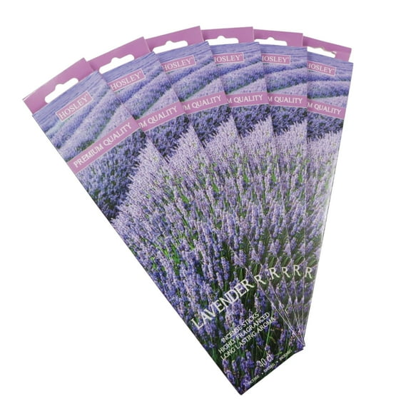 Hosley 120 Pack Incense Sticks   Bonus 120 Pack (Total 240) – Lavender – Perfect for Home, Meditation & Aromatherapy