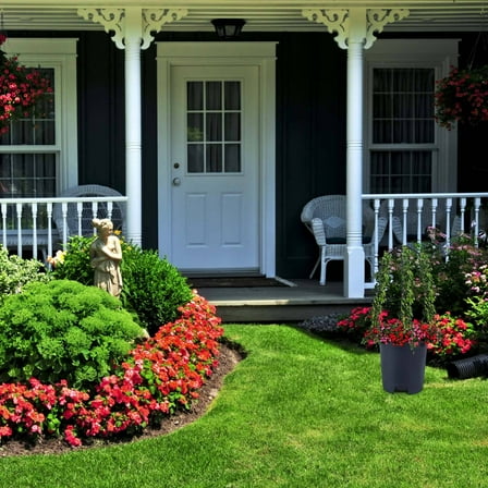 Worgeous  10 Pcs Climbing Plant Support Garden Climbers Flower Brackets