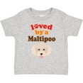 thumbnail image 3 of Inktastic Maltipoo Dog Gift Poodle Maltese Boys or Girls Toddler T-Shirt, 3 of 5