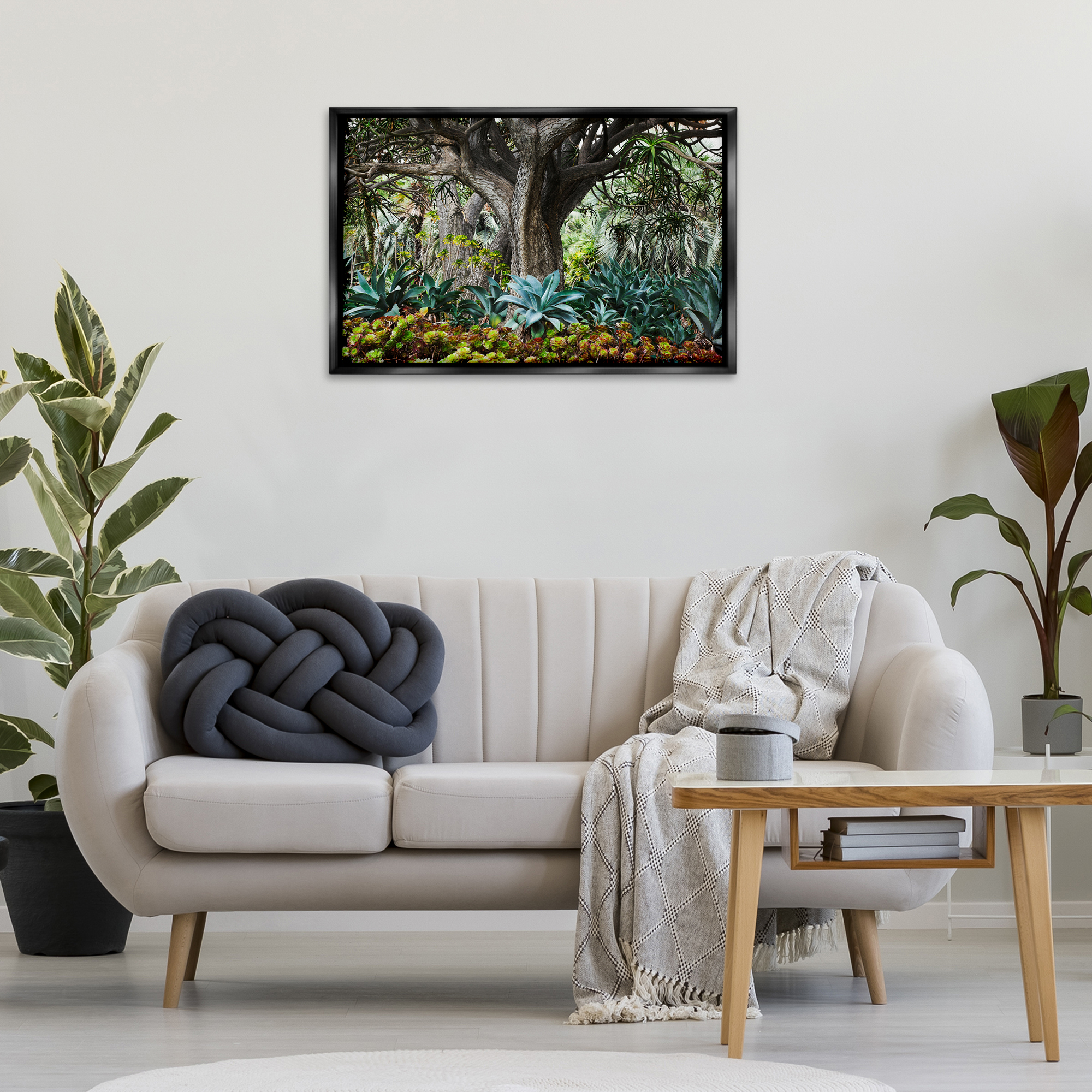 Stupell Industries Lush Tropical Vegetation Landscape & Nature Photography Black Floater Framed Canvas Art Print Wall Art, 31 x 21