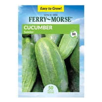 Ferry-Morse 820MG Cucumber Sumter Annual Vegetable Seeds, Full Sun