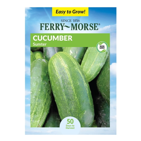 Ferry-Morse 820MG Cucumber Sumter Annual Vegetable Seeds, Full Sun