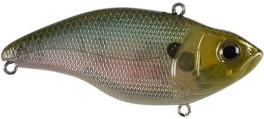 aruku shad