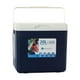 thumbnail image 4 of Nevera portátil de 20 l, para almacenamiento en frío, con aislamiento personal, pequeña, rígida, para pesca, fiestas, picnics, conservación de Azul, 4 of 8
