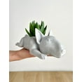 thumbnail image 5 of Doggy Planter  Bull Terrier Planter Gift Idea, Bar Decor, Table Decor, Plant Gift Idea, Cute Succulent Planter, any canine/dog/Bull Terrier and plant lover! Twinkling Black, 5 of 10