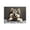 A, variant on Lilixerw 18x12 Inch Funny Dog Pattern Home Placemat,Heat-Resistant & Non-Slip Table Protector,Washable Linen Placemat for Dining Table,Kitchen Decor,Cute Pet Themed,Multicolor