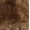 Black Soot, variant on Men's Trapper Hat,Charcoal OFSM