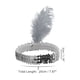 thumbnail image 4 of Ofertas Únicas 1 Pc Diademas de Plumas con Diamantes Falsos para Mujeres Gris, 4 of 6