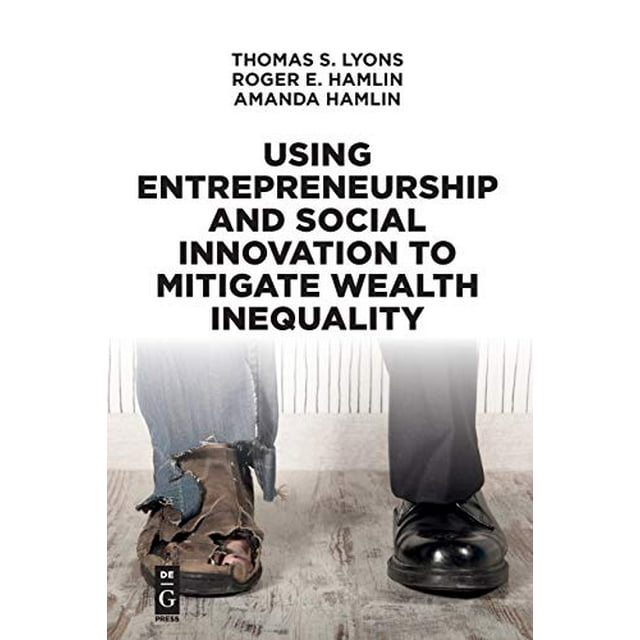Using Entrepreneurship and Social Innovation to Mitigate Wealth Inequality
