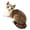 Lying on the civet c, variant on Realistic Cat Plush Toy Short Fur Stuffed Animal Soft Cute Gift Home Decor