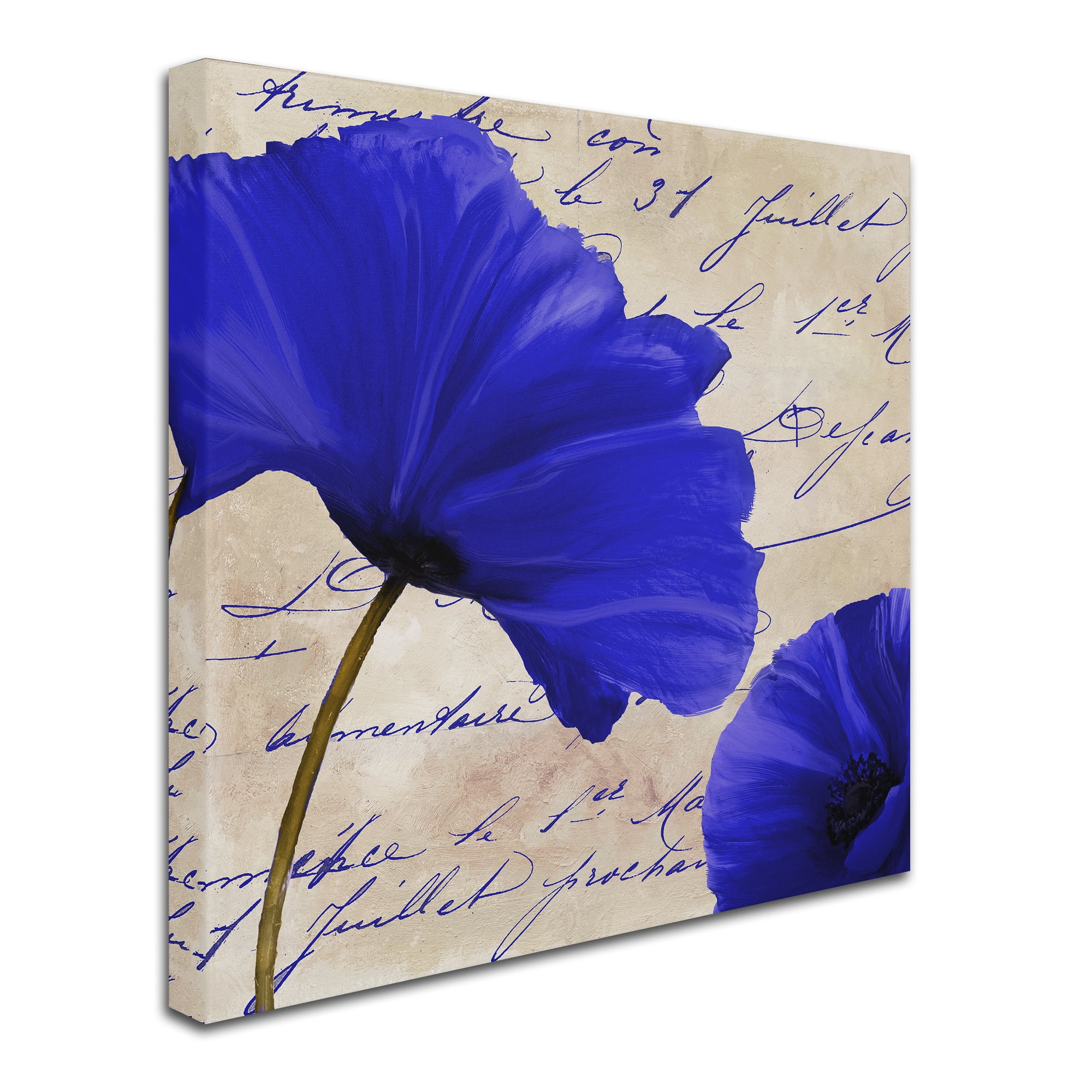 Trademark Fine Art "Coquelicots Bleues II" Canvas Art by Color Bakery
