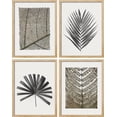thumbnail image 3 of PixonSign Framed Duotone Tropical Forest Plant Leaf Wall Art, Set of 4 Collage Nature Garden Wall Decor Prints, Leaves Texture Shadow Wall Décor, Rustic Home Artwork - 11"x14" Natural, 3 of 5