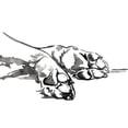 thumbnail image 2 of Parker, Jennifer Paxton 32x26 Black Ornate Wood Framed with Double Matting Museum Art Print Titled - Linear Paws I, 2 of 4