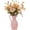 Light Champagne, variant on 12pcs Gerbera Daisy Artificial Flowers 20 Inch Long Stem Artificial Daisy Mums for Home Décor Centerpiece Wedding Bridal Bouquet DIY(Brown)